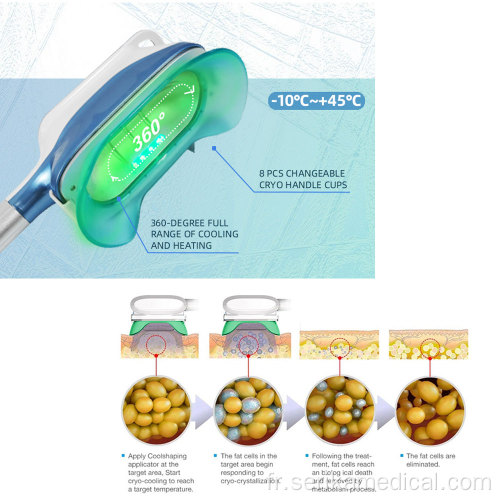 Machine de cryolipolyse de congélation à triple poignée